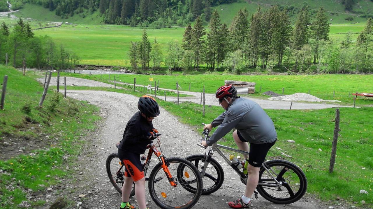 Pension Alpenrose Zell am See Bagian luar foto
