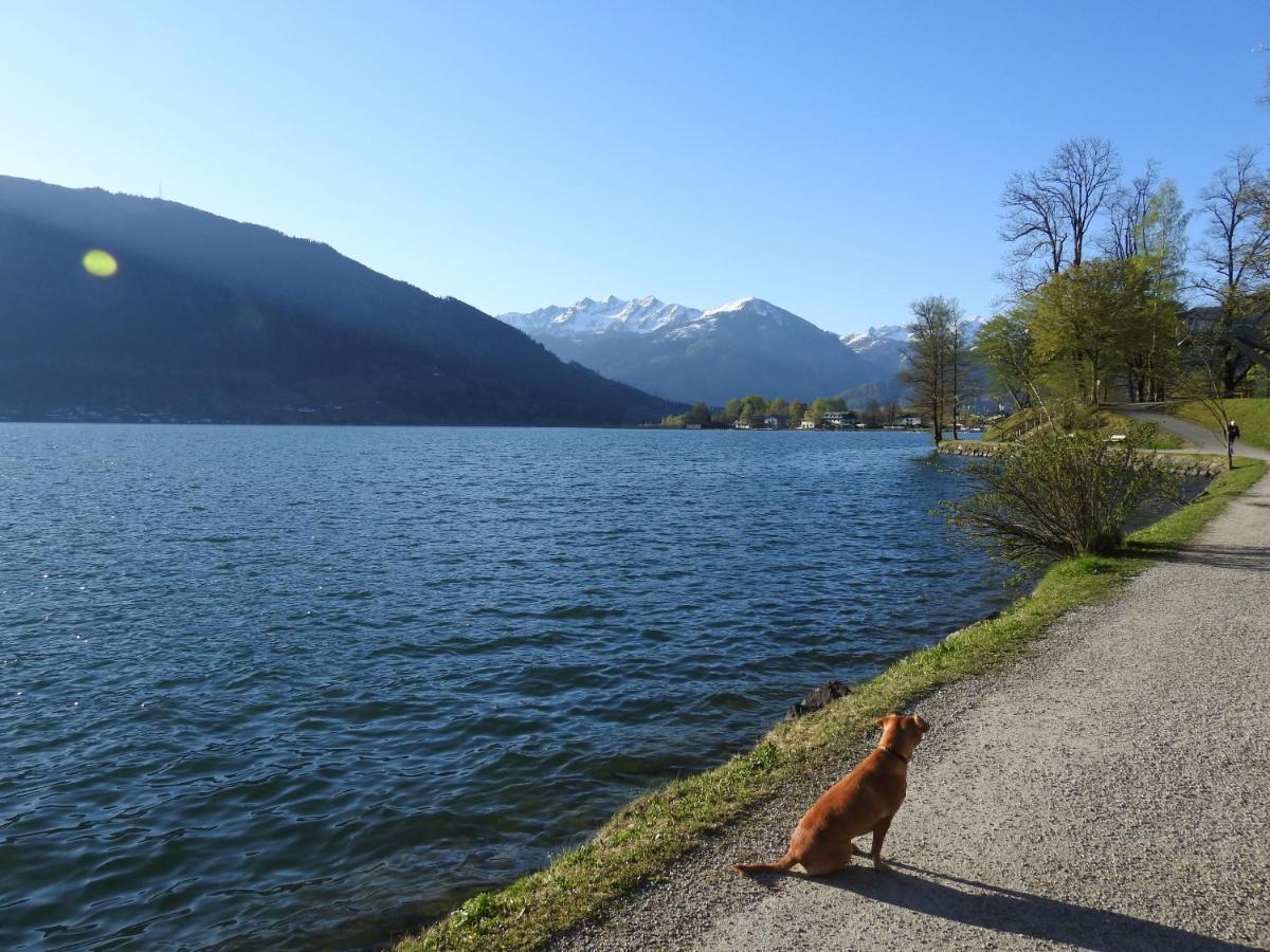 Pension Alpenrose Zell am See Bagian luar foto