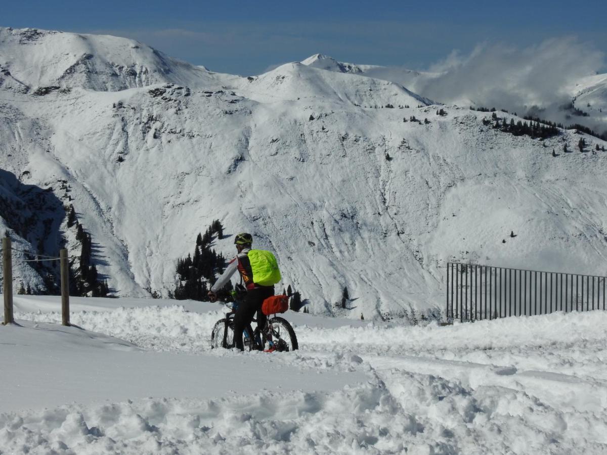 Pension Alpenrose Zell am See Bagian luar foto