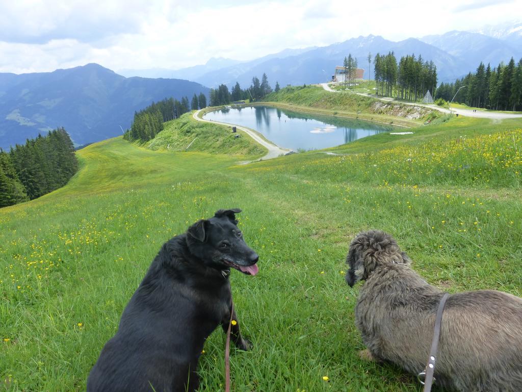 Pension Alpenrose Zell am See Bagian luar foto