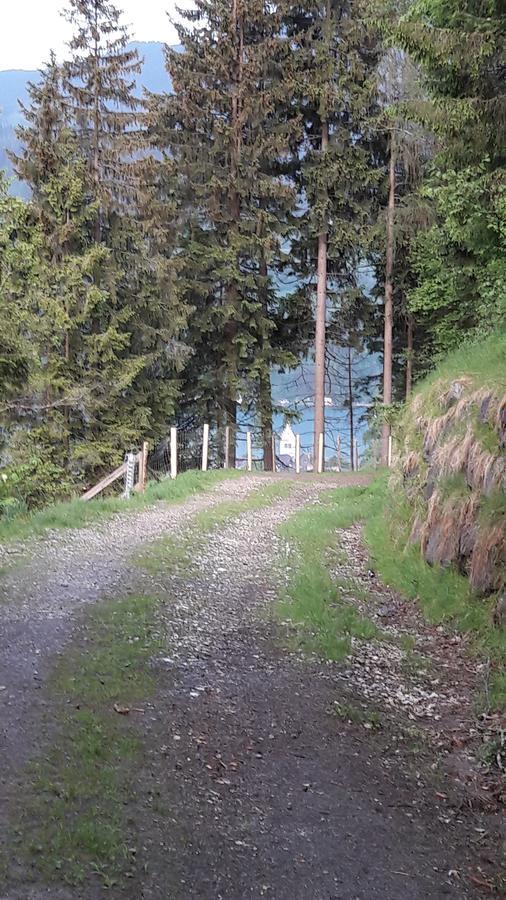 Pension Alpenrose Zell am See Bagian luar foto