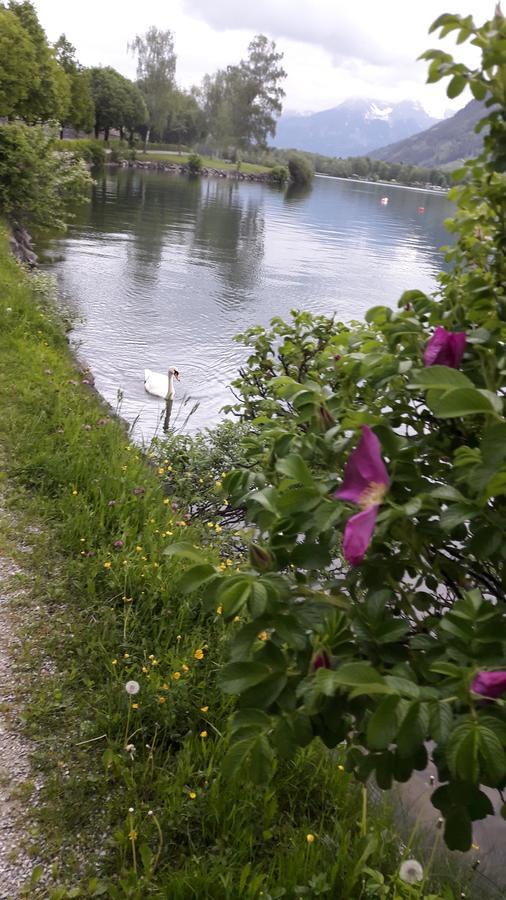Pension Alpenrose Zell am See Bagian luar foto